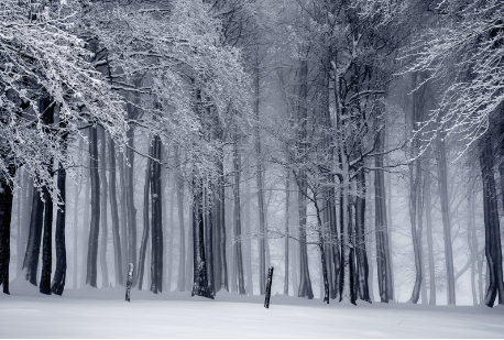 工作经历的至今怎么填日期？工作经历至今怎么表示